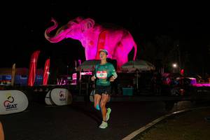 BIB: 
                            <button type="button" onclick="openModal(26535132)" class="btn btn-primary btn-sm float-right btn-popup" data-toggle="modal" data-target=".modal-high-quality">
                        <i class="fas fa-shopping-cart"></i> Add to Cart
                    </button>
                                            <button type="button" onclick="isThisMe(26535132, true)" class="btn btn-success btn-sm float-right btn-popup btn-isme hidden" data-toggle="tooltip" data-placement="bottom" title="นี่คือรูปของคุณใช่ไหม คลิกที่นี่เพื่อเอาเข้าอัลบั้ม">
                        <i class="fas fa-plus"></i> Add to album
                    </button>
                    <button type="button" onclick="isThisMe(26535132, false)" class="btn btn-warning btn-sm float-right btn-popup btn-isnotme hidden">
                        <i class="fas fa-ban"></i> Remove from album
                    </button>